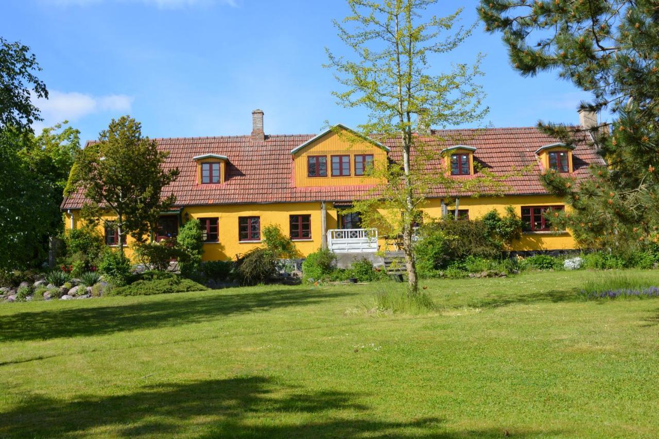 Apartament Havehojegaard Borre Zewnętrze zdjęcie